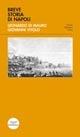 Breve storia di Napoli - Leonardo Di Mauro, Gianni Vitolo - Libro Pacini Editore 2006, Piccola biblioteca Pacini | Libraccio.it