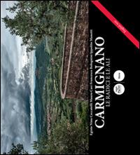 Carmignano. Le radici e le ali. Ediz. italiano e inglese - Egisto Nino Ceccatelli, Mauro Casi, Francesco Bolognini - Libro Pacini Editore 2015, Storia | Libraccio.it