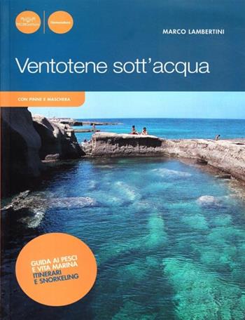 Ventotene sott'acqua - Marco Lambertini - Libro Pacini Editore 2008, Con pinne e maschera | Libraccio.it
