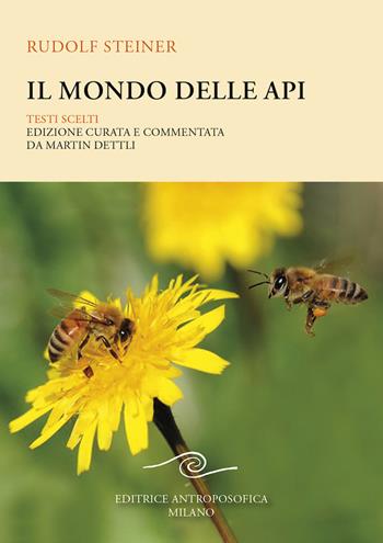 Il mondo delle api. Testi scelti - Rudolf Steiner - Libro Editrice Antroposofica 2021 | Libraccio.it