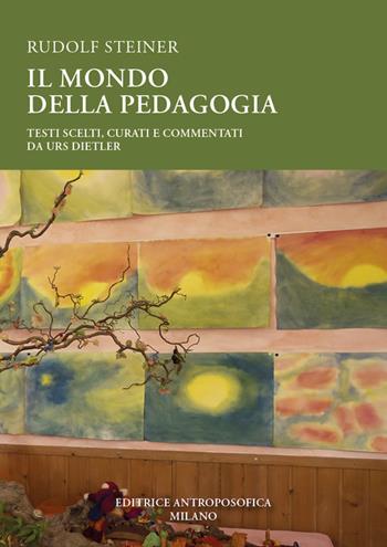 Il mondo della pedagogia. Testi scelti - Rudolf Steiner - Libro Editrice Antroposofica 2024 | Libraccio.it