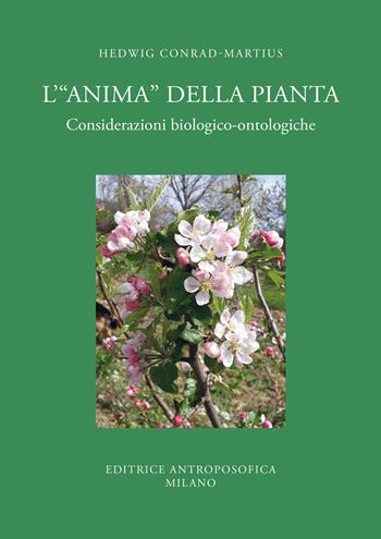 L'«anima» della pianta. Considerazioni biologiche-ontologiche - Hedwig Conrad Martius - Libro Editrice Antroposofica 2024 | Libraccio.it