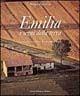 Emilia i segni della terra - Beppe Zagaglia - Libro Artioli 2010 | Libraccio.it