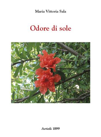 Odore di sole - Maria Vittoria Sala - Libro Artioli 2020 | Libraccio.it