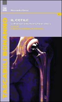 Il cotile. La revisione nella protesi totale d'anca - Alessandro Geraci - Libro Bonanno 2011, Tascabile Bonanno. Salute | Libraccio.it