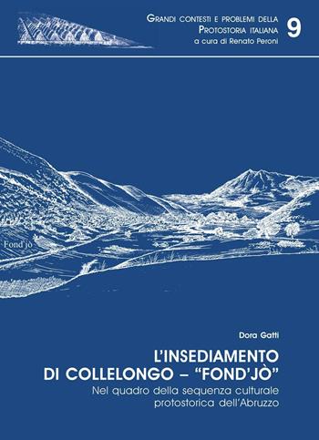 L' insediamento di Collelongo. Fond'jò nel quadro della sequenza culturale protostorica dell'Abruzzo - Dora Gatti - Libro All'Insegna del Giglio 2004, Grandi contesti e probl. protostoria it. | Libraccio.it