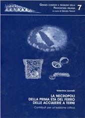 L' organizzazione dello spazio sull'acropoli di Broglio di Trebisacce. Dallo studio delle strutture e dei manufatti... all'analisi della distribuzione dei reperti