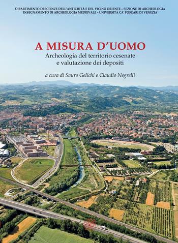 A misura d'uomo. Archeologia del territorio cesenate e valutazione dei depositi  - Libro All'Insegna del Giglio 2008 | Libraccio.it