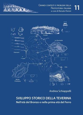 Sviluppo storico della Teverina nell'età del Bronzo e nella prima età del Ferro - Andrea Schiappelli - Libro All'Insegna del Giglio 2008, Grandi contesti e probl. protostoria it. | Libraccio.it