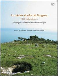 Rassegna di archeologia (2009-2011). Vol. 24\1: Preistorica e protostorica. Le miniere di selce del Gargano (VI-III millennio a.C.). Alle origini della storia mineraria europea.  - Libro All'Insegna del Giglio 2011 | Libraccio.it