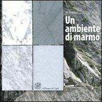 Un ambiente di marmo - Michela Toni - Libro All'Insegna del Giglio 2012 | Libraccio.it