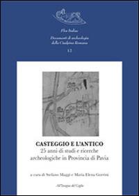 Casteggio e l'antico. 25 anni di studi e ricerche archeologiche in provincia di Pavia  - Libro All'Insegna del Giglio 2014, Flos Italiae. Doc. arch. Cisalpina Romana | Libraccio.it