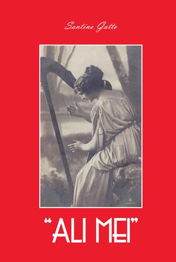 Ali mei - Santino Gatto - Libro EDAS 2016 | Libraccio.it