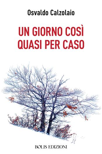 Un giorno così quasi per caso - Osvaldo Calzolaio - Libro Bolis 2024 | Libraccio.it