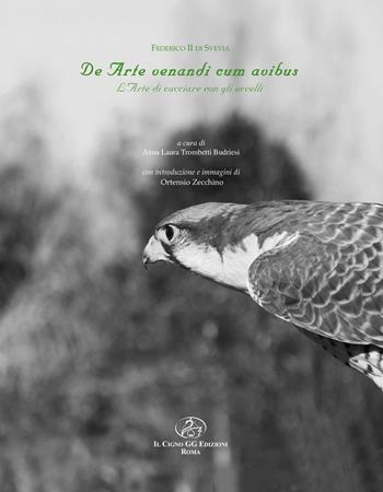 De Arte venandi cum avibus. L'arte di cacciare con gli uccelli - Federico II - Libro Il Cigno GG Edizioni 2019, Gli orizzonti | Libraccio.it