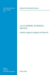 «A la aurora te busco» (Sal 63,2). Estudio exegetico-teologico de Salmo 63