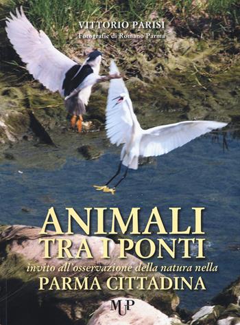 Animali tra i ponti. Invito all'osservazione della natura nella Parma cittadina - Vittorio Parisi - Libro Monte Università Parma 2019 | Libraccio.it