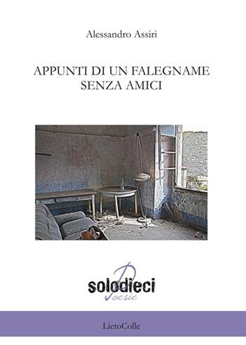 Appunti di un falegname senza amici - Alessandro Assiri - Libro LietoColle 2013, Solodieci | Libraccio.it