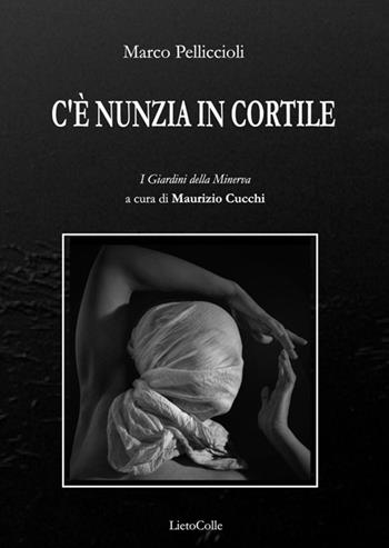 C'è Nunzia in cortile - Marco Pelliccioli - Libro LietoColle 2014, I giardini della Minerva | Libraccio.it