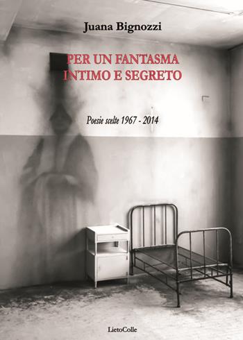 Per un fantasma intimo e segreto. Testo spagnolo a fronte - Juana Bignozzi - Libro LietoColle 2015, Blu altre terre | Libraccio.it