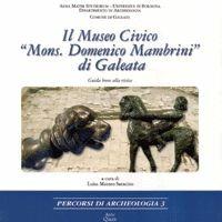 Il Museo civico «Mons. Domenico Mambrini» di Galeata. Guida breve alla visita  - Libro Ante Quem 2005, Percorsi di archeologia | Libraccio.it