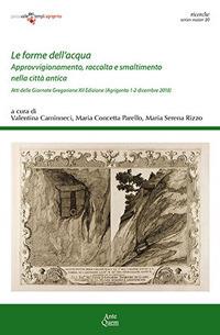 Le forme dell'acqua. Approvvigionamento, raccolta e smaltimento nella città antica. Atti delle Giornate Gregoriane. XII Edizione (Agrigento, 1-2 dicembre 2018)  - Libro Ante Quem 2020, Ricerche. Series maior | Libraccio.it