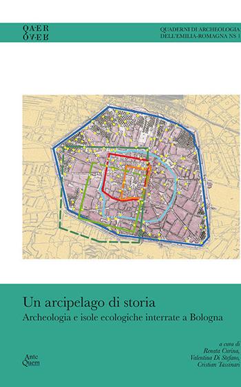 Un arcipelago di storia. Archeologia e isole ecologiche interrate a Bologna  - Libro Ante Quem 2020 | Libraccio.it