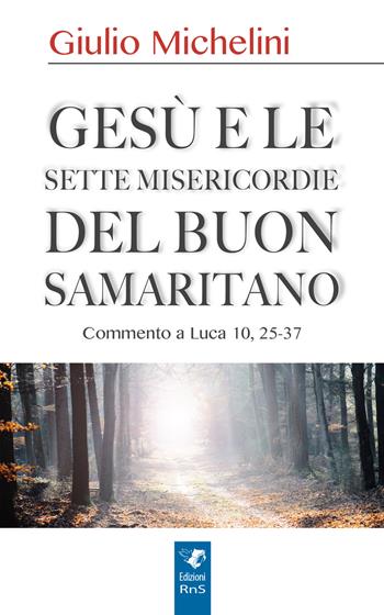 Gesù e le sette misericordie del buon samaritano - Giulio Michelini - Libro Edizioni RnS 2018 | Libraccio.it