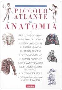 Il piccolo atlante di anatomia. Ediz. illustrata  - Libro Vallardi A. 2008 | Libraccio.it