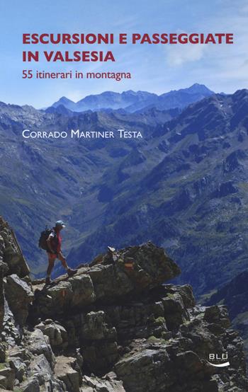 Escursioni e passeggiate in Valsesia - Corrado Martiner Testa - Libro Blu Edizioni 2017, Natura e ambiente | Libraccio.it
