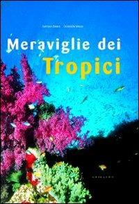Meraviglie dei tropici - Barbara Zanna, Donatella Moica - Libro Gribaudo 2006 | Libraccio.it