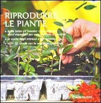 Riprodurre le piante. Ediz. illustrata - Enrica Boffelli, Guido Sirtori - Libro Gribaudo 2007, Verde pratico | Libraccio.it