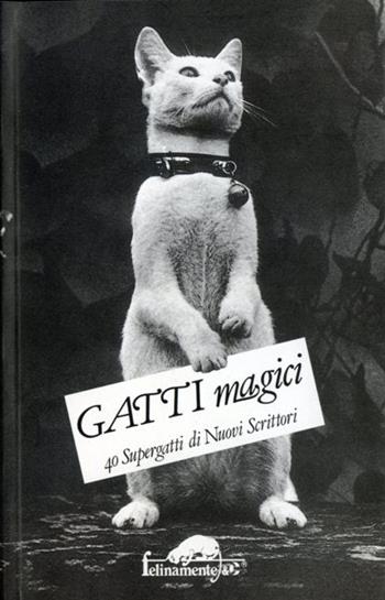 Gatti magici. 40 supergatti di nuovi scrittori  - Libro Mursia 2022, Felinamente & C. | Libraccio.it