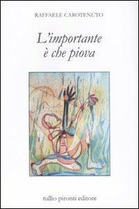 L'importante è che piova - Raffaele Carotenuto - Libro Tullio Pironti 2011 | Libraccio.it