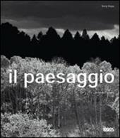 Il paesaggio in bianco e nero