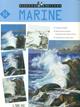 Marine  - Libro L'Airone Editrice Roma 1999, Disegno e pittura | Libraccio.it