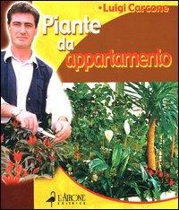 Piante da appartamento - Luigi Carcone - Libro L'Airone Editrice Roma 2004, Le regole d'oro del giardiniere | Libraccio.it