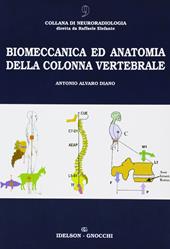 Biomeccanica ed anatomia della colonna vertebrale