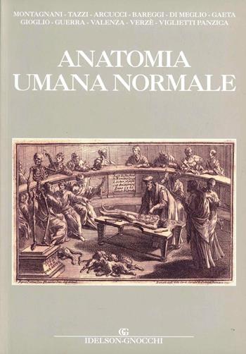 Anatomia umana normale. Ediz. illustrata - Stefania Montagnani, Antonio Tazzi - Libro Idelson-Gnocchi 2007 | Libraccio.it