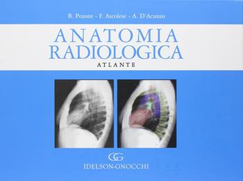 Anatomia radiologica. Atlante - Bruno Pozone, Franco Ascolese, Annunziata D'Acunzo - Libro Idelson-Gnocchi 2008 | Libraccio.it