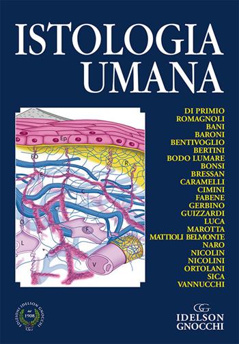 Istologia umana  - Libro Idelson-Gnocchi 2012 | Libraccio.it