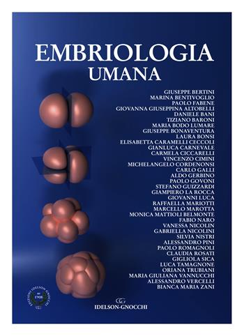 Embriologia umana  - Libro Idelson-Gnocchi 2019 | Libraccio.it