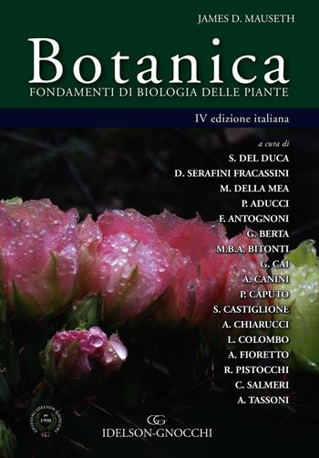 Botanica. Fondamenti di biologia delle piante - James D. Mauseth - Libro Idelson-Gnocchi 2020 | Libraccio.it