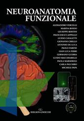 Neuroanatomia funzionale