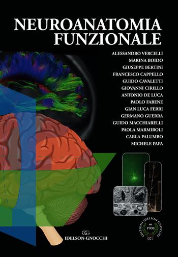 Neuroanatomia funzionale - Alessandro Vercelli, Marina Boido - Libro Idelson-Gnocchi 2019 | Libraccio.it