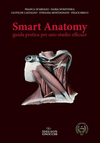 Smart anatomy. Guida pratica per uno studio efficace - Franca Di Meglio, Daria Nurzynska, Clotilde Castaldo - Libro Idelson-Gnocchi 2020 | Libraccio.it