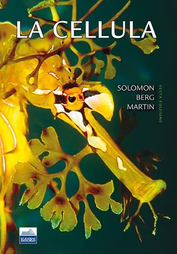 La cellula - Eldra P. Solomon, Linda R. Berg, Diana W. Martin - Libro Edises 2013 | Libraccio.it