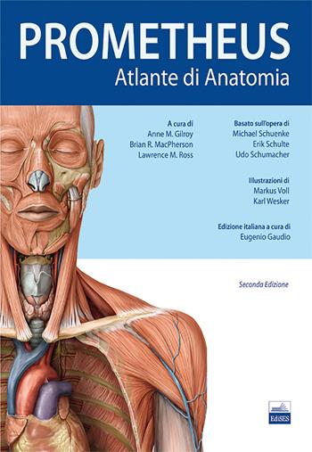 Prometheus. Altante di anatomia - Anne M. Gilroy, Brian R. MacPherson, Lawrence M. Ross - Libro Edises 2013 | Libraccio.it