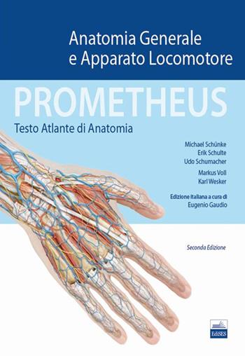 Prometheus. Testo atlante di anatonomia. Anatomia generale e apparato locomotore - Michael Schünke, Erik Schulte, Udo Schumacher - Libro Edises 2014 | Libraccio.it