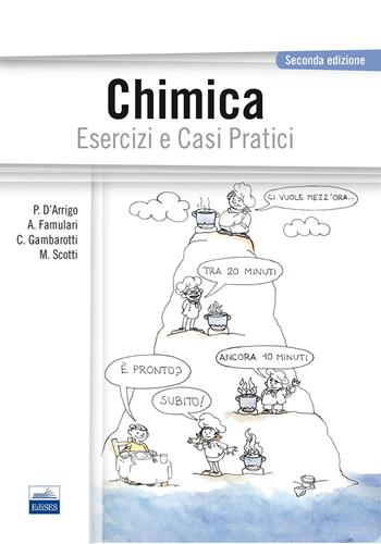 Chimica. Esercizi e casi pratici - Paola D'Arrigo, Antonino Famulari, Cristian Gambarotti - Libro Edises 2014 | Libraccio.it
